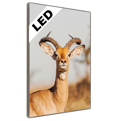 Led wandbild hirsch geweih - led,