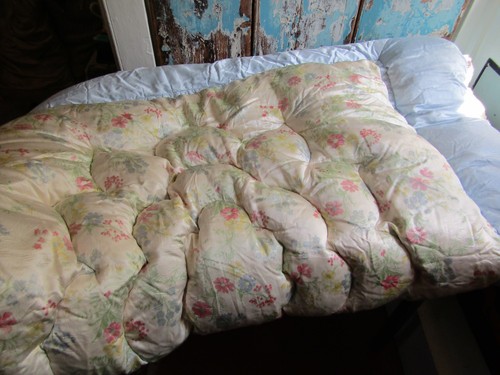 Vintage hellblau rosa feder - hellblau,
