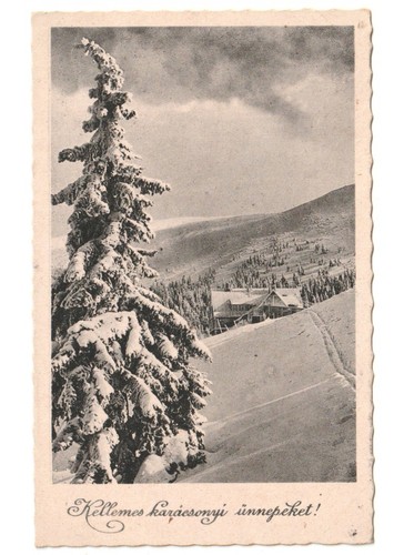 Antike foto weihnachtskarte - foto,