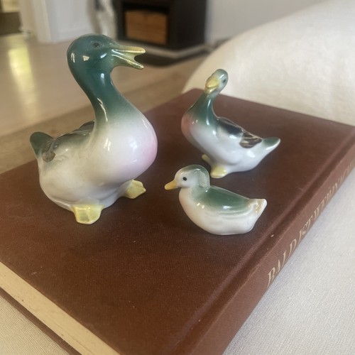 Entenfamilie gräfenthal - entenfamilie,