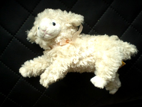Schaf schäfchen förster - 🐑,