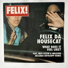 12" Vinyl DJ Schallplatten