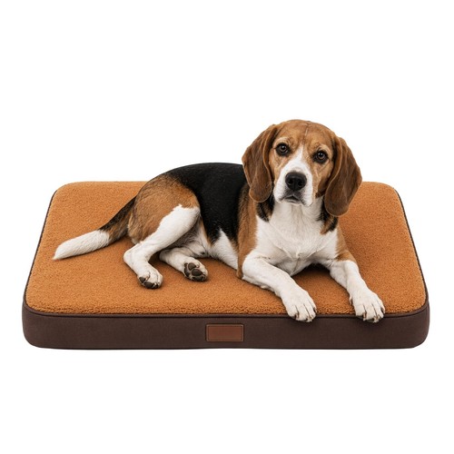 Orthopädisches hundebett - orthopädisches,