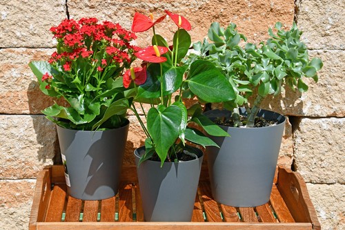 Blumentopf farben 3 - 10,