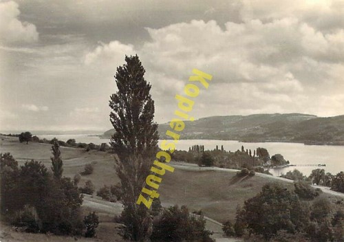 Wangen untersee panorama - ak,