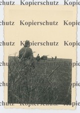 6995a❚ ORIGINAL Foto