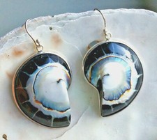 925er Sterlingsilber 5 cm Groß Ohrhänger Nautilus Muschel Fossil Schwarz Silber