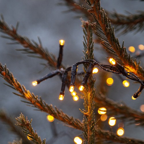 Led lichterkette golden serie - led,