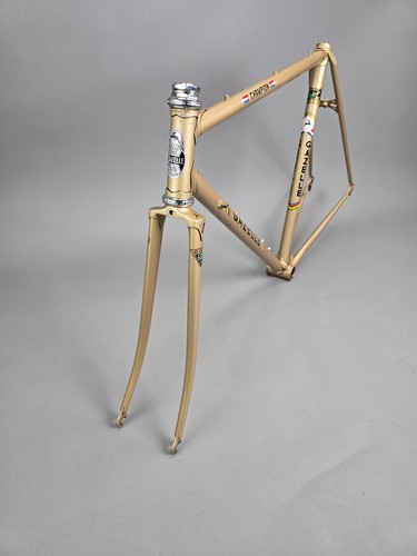Rahmen set gazelle champion - set,