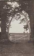 Schlitten. Wal Kiefer