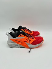 Salomon Sense Ride 5 Herren