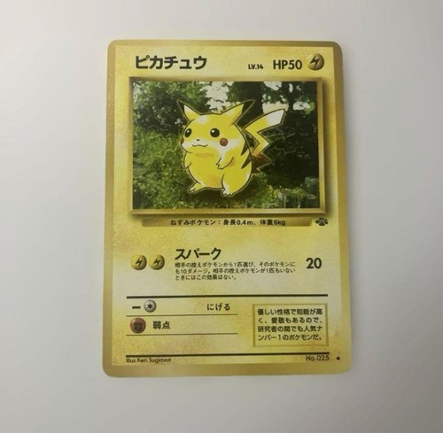 Pikachu old back - ●, 2nd