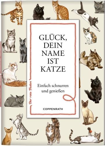 Glück dein name ist katze - name,