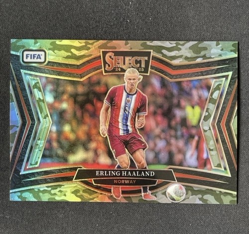Erling haaland 2024 - erling,