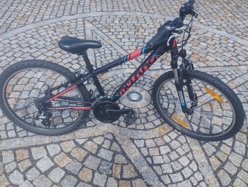 Müsing 24zoll jungen - 24zoll,