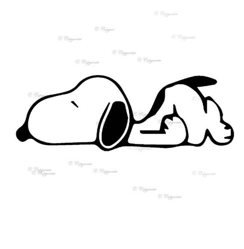 Sleeping snoopy vinyl - snoopy,