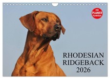 Rhodesian Ridgeback 2026