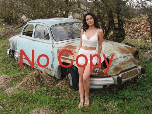 Panhard wrack und ein - wrack,
