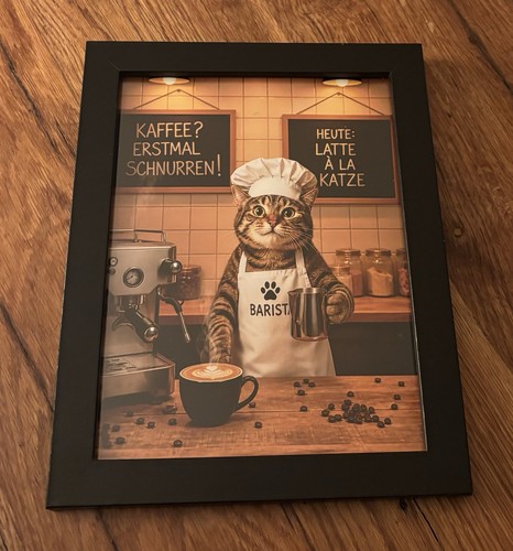 Lustiges katzenbild - katzenbild, im