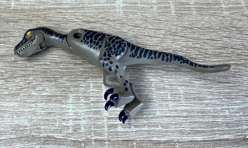 Playmobil dino raptor - dino,