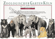 Zoologischer Garten Köln Blanco Aktie Köln 2002 Zoo Tierpark Elefant Löwe Bär