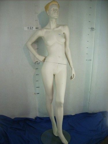 Mannequin schaufensterpuppe - mannequin,