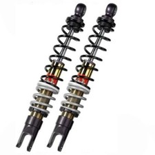 Paar Stoßdämpfer hinten