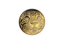 Goldmünze Motiv Jaguar