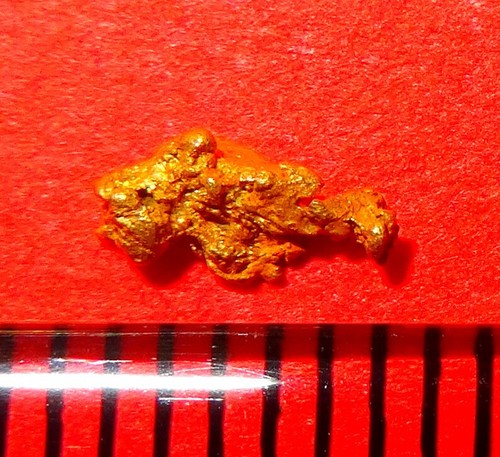 Xxl goldnugget mm - xxl, 5,2