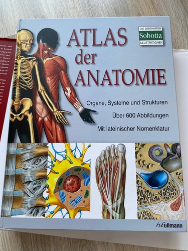 Atlas der anatomie - atlas,