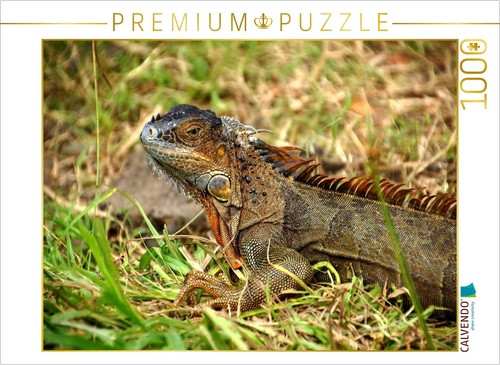 Calvendo puzzle grüner - puzzle,