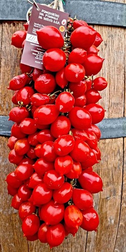 Piennolo del vesuvio - del, tomate