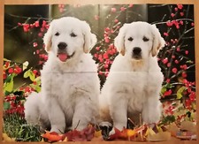 RIESEN-Tier-Poster GOLDEN