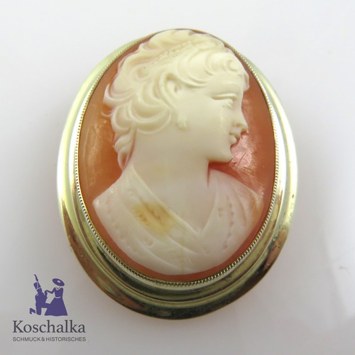 Vintage schöne muschel gemme - muschel,