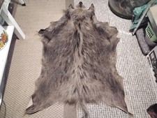 Wildschweinfell, Sauschwarte, Gut Gegerbt, Weich