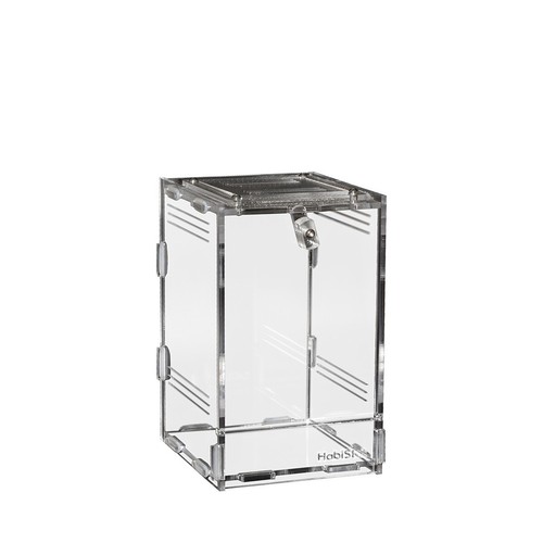 Habistat clear home - clear, terrarium