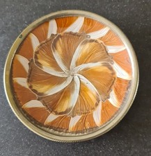 kl. Wandteller mit Schmetterlingsflügeln  unter Glas und Metallboden rückseitig