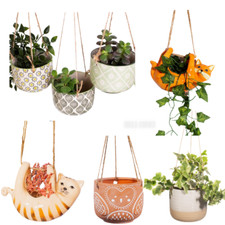 Sass & Belle hängender