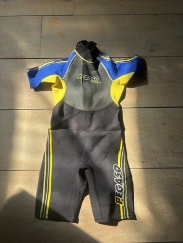 Eisweste pegaso sporting - eisweste,