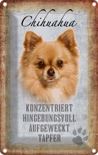 Blechschild 30x20 cm Chihuahua