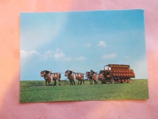 Hessentag Wetzlar - Schserzug