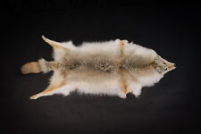 Kanadisches Coyotenfell -