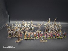 FULLY PAINTED  BRETONIAN ARMY