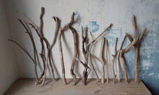 14 Treibholz  Äste 30-51 cm