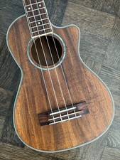 Ashbury AU-80CE EQ Cut-away