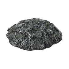 Schildkröten-Aquarium-Dekorat