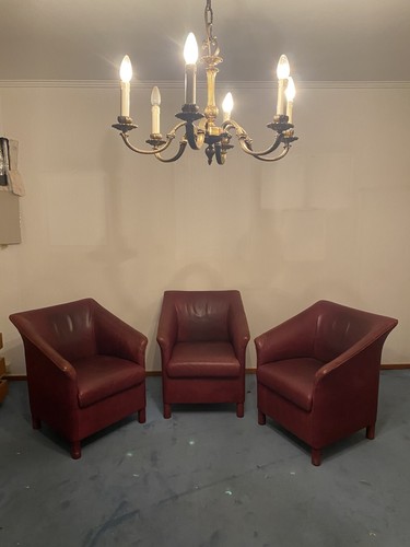 Ledersessel walter knoll - ledersessel,
