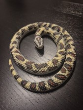 Python Schlange Spielfigur
