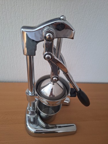 Professionelle