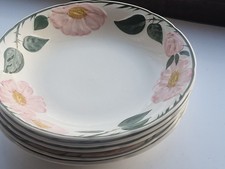 5 gebrauchte Teller Wild Rose